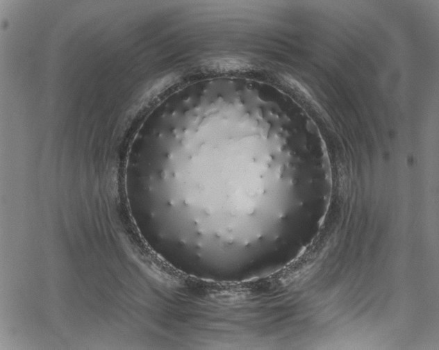 X0000062800447200512261600
