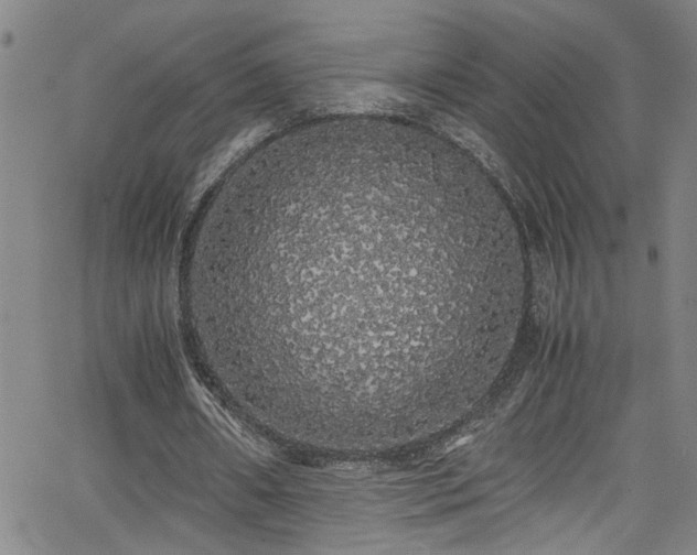 X0000062800482200512261559