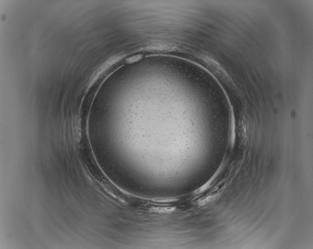 X0000062800484200512261559