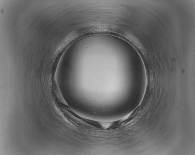 X0000062800485200512261559