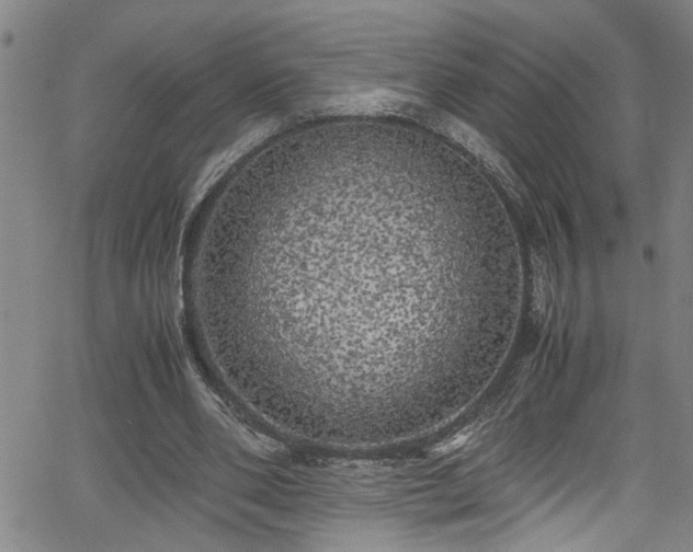 X0000062800486200512261559