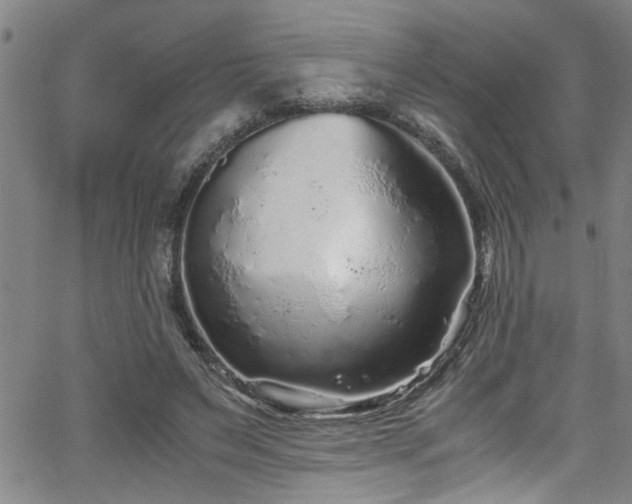 X0000062800495200512261559