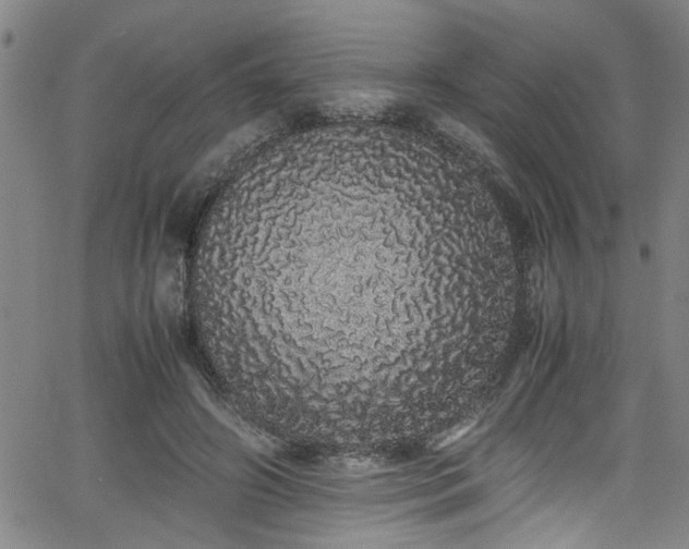 X0000062800498200512261559