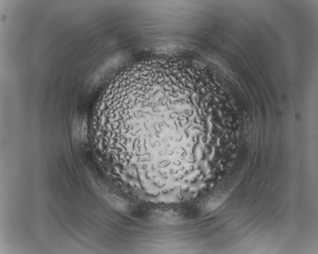 X0000062800502200512261559