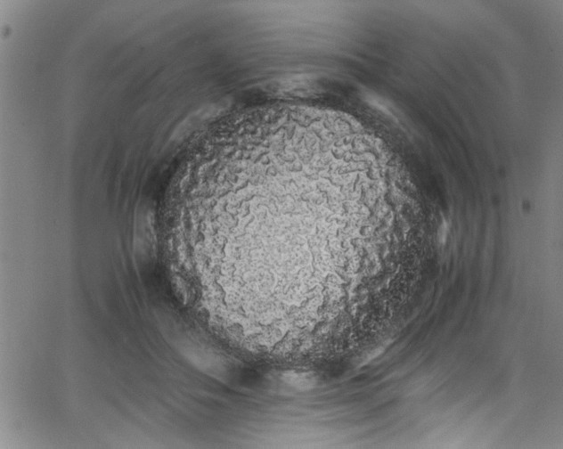 X0000062800506200512261559