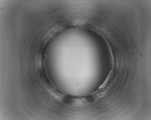 X0000062800508200512261559