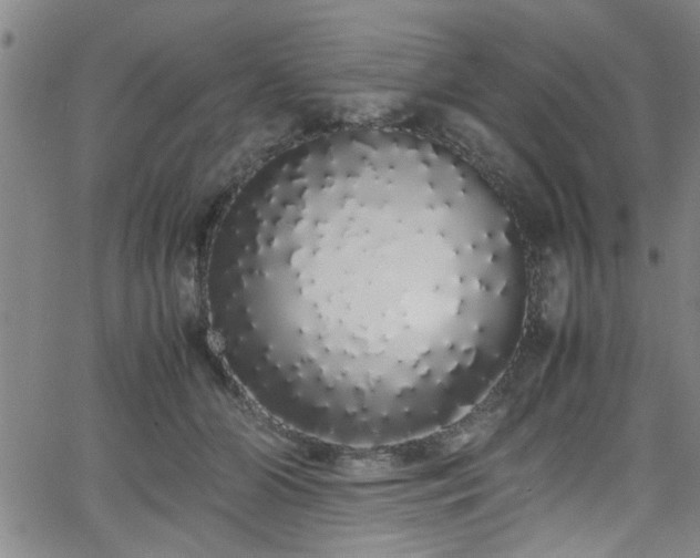 X0000062800510200512261559