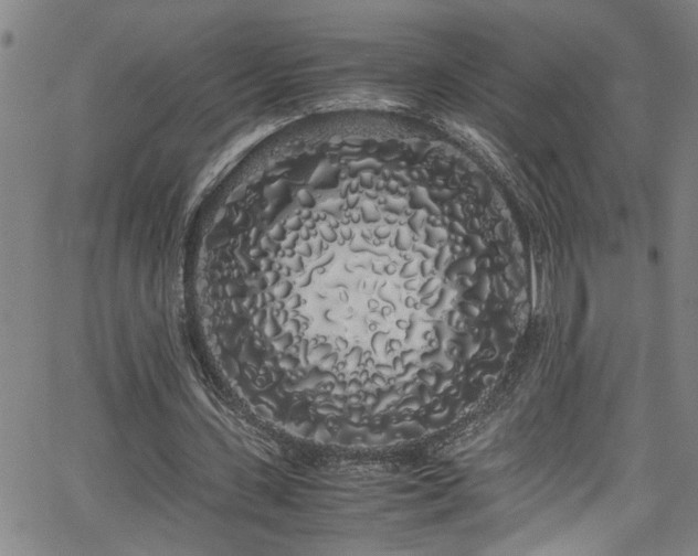 X0000062800531200512261558