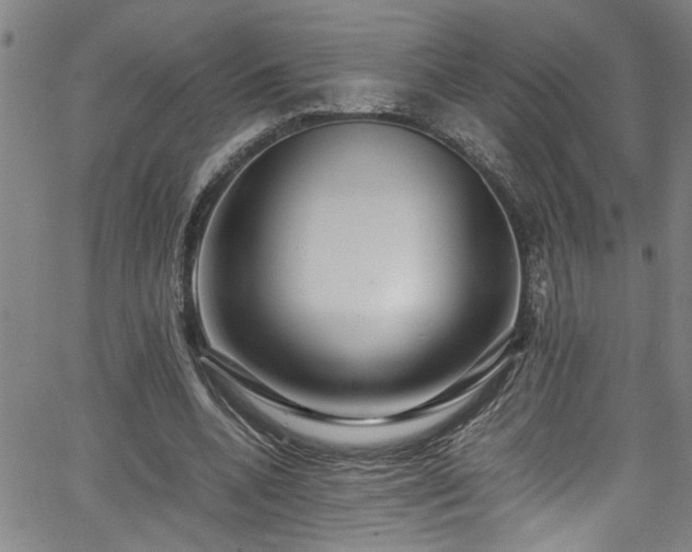 X0000062800536200512261558