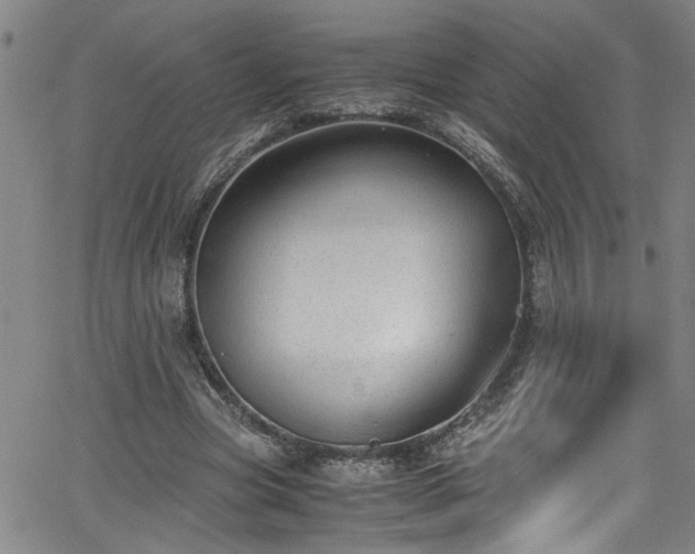 X0000062800537200512261558