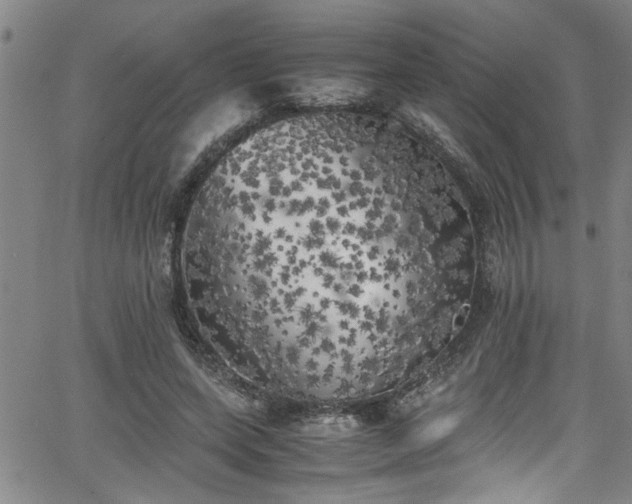 X0000062800543200512261558