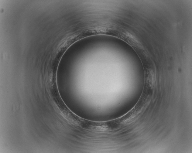 X0000062800548200512261558