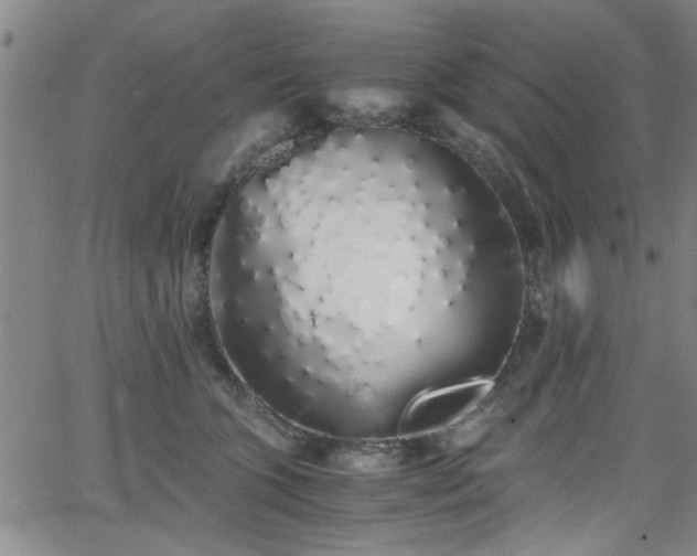 X0000062800563200512261558