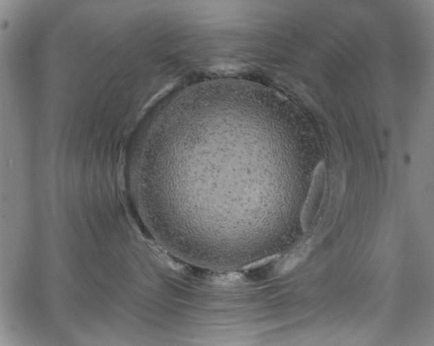 X0000062800576200512261558