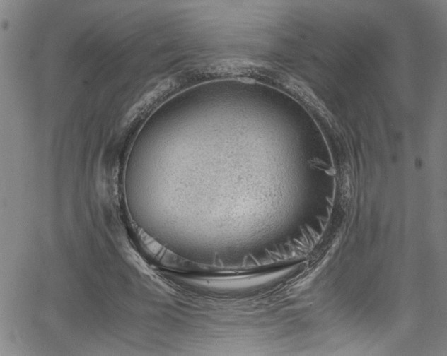 X0000062800585200512261558