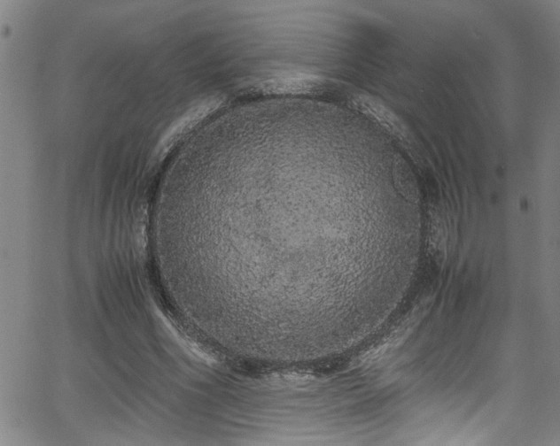 X0000062800586200512261558