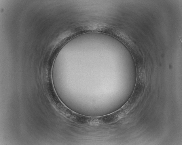 X0000062800587200512261558