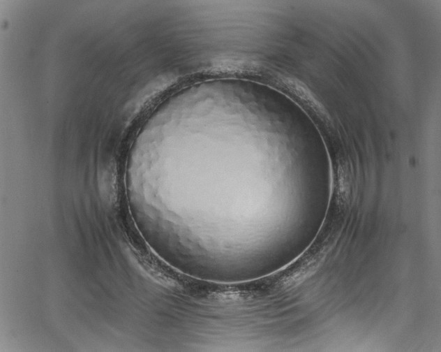 X0000062800588200512261557