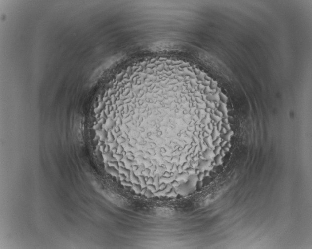 X0000062800592200512261557