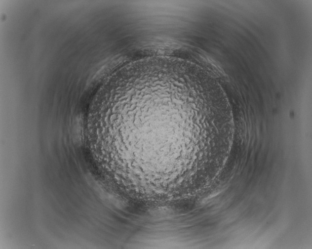 X0000062800594200512261557