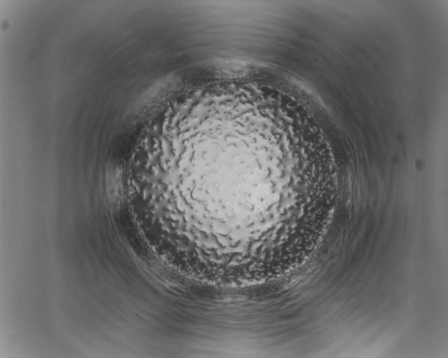 X0000062800598200512261557