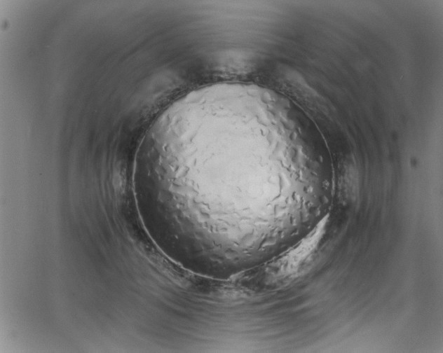 X0000062800608200512261557