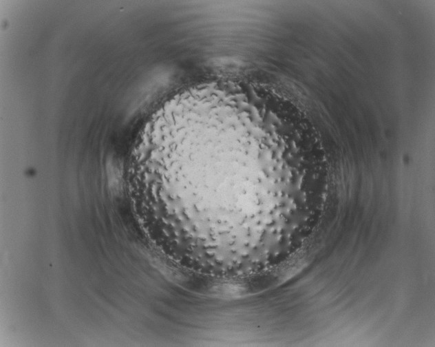 X0000062800610200512261557