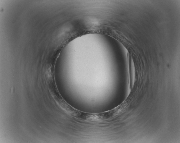 X0000062800611200512261557