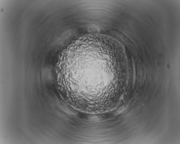 X0000062800616200512261557
