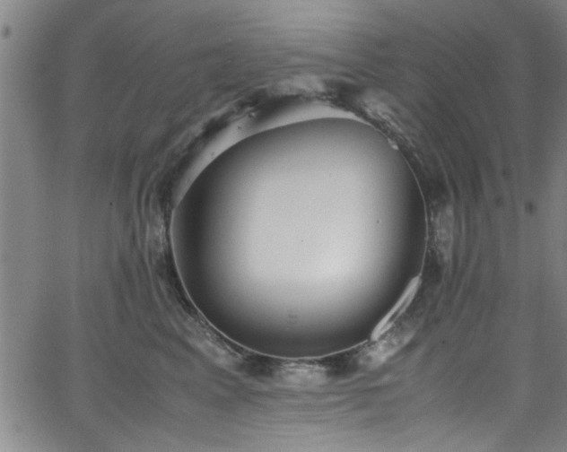 X0000062800617200512261557