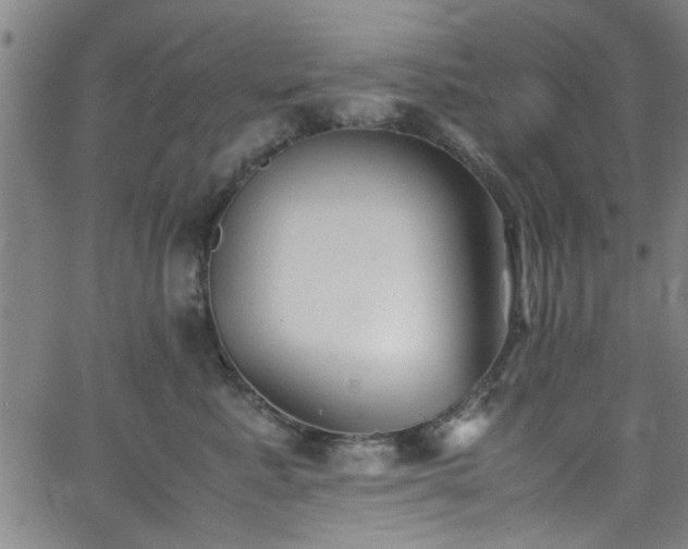 X0000062800619200512261557
