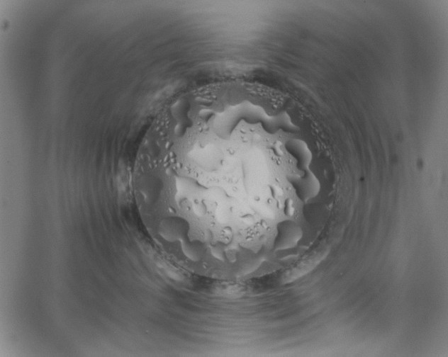 X0000062800624200512261557