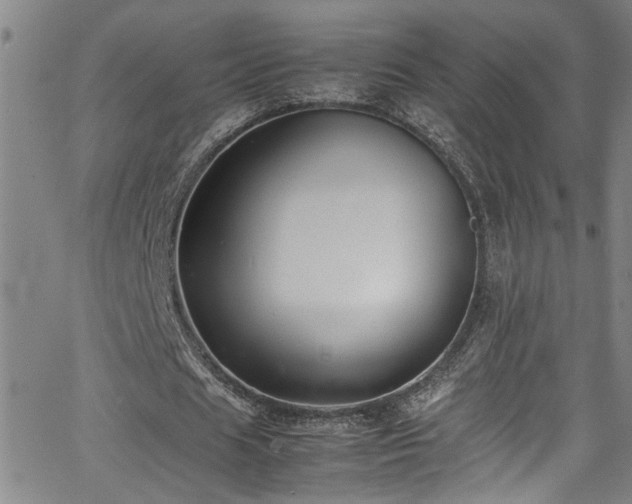 X0000062800625200512261556
