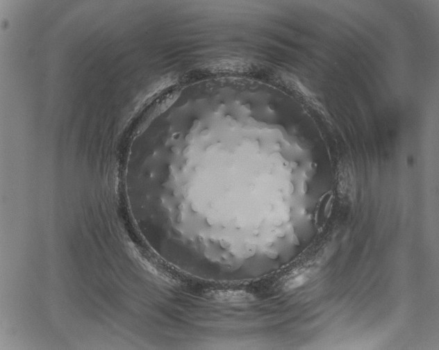 X0000062800637200512261556