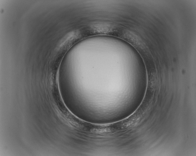 X0000062800639200512261556