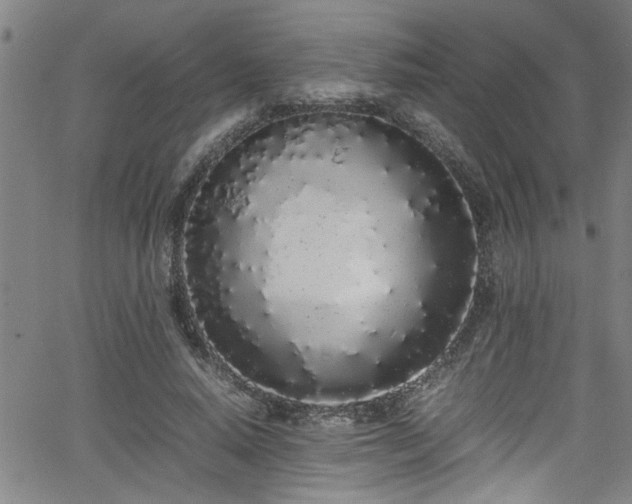 X0000062800640200512261556