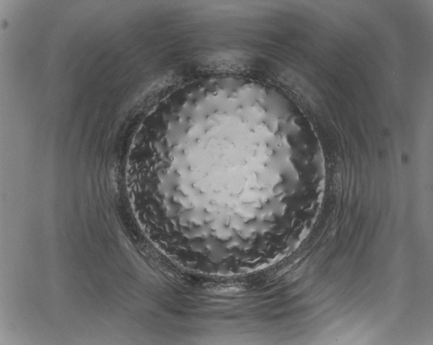 X0000062800643200512261556