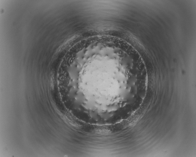 X0000062800644200512261556