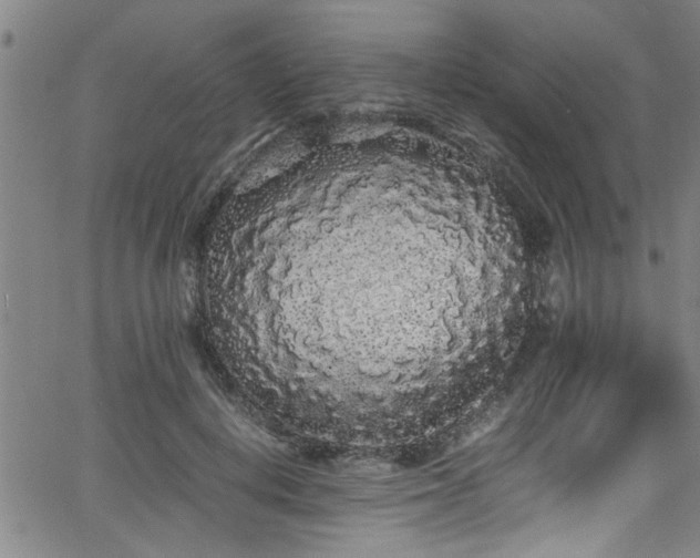 X0000062800648200512261556