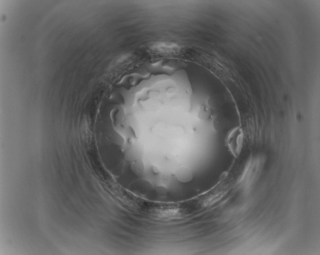 X0000062800651200512261557