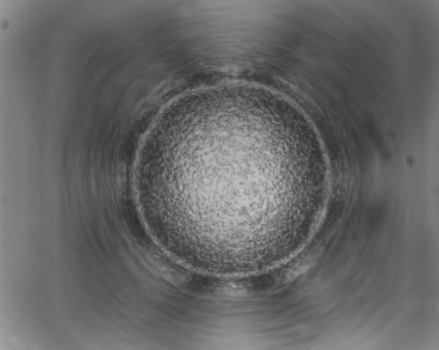 X0000062800656200512261557