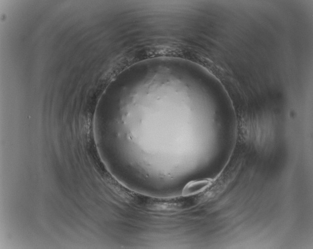 X0000062800657200512261557