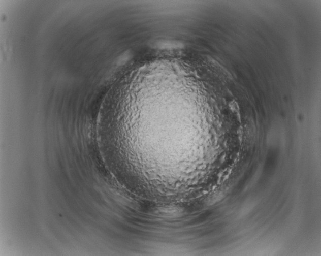 X0000062800659200512261557
