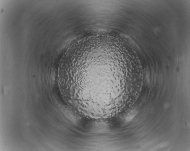 X0000062800668200512261557