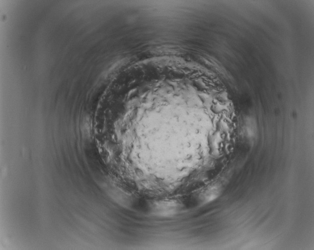 X0000062800669200512261557