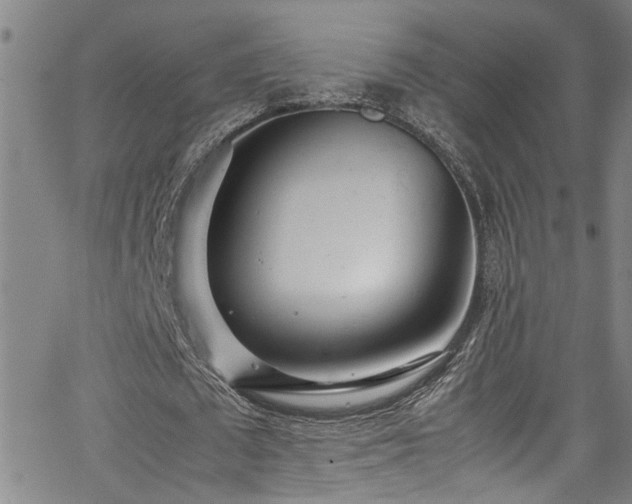 X0000062800673200512261556