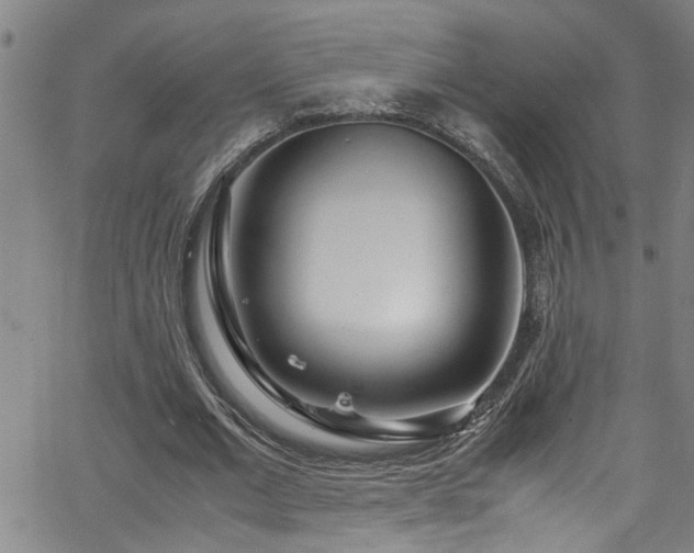 X0000062800677200512261556