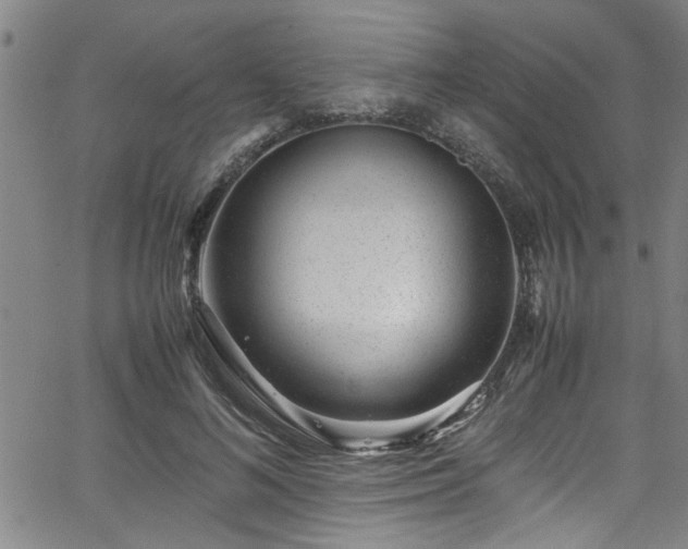 X0000062800692200512261556