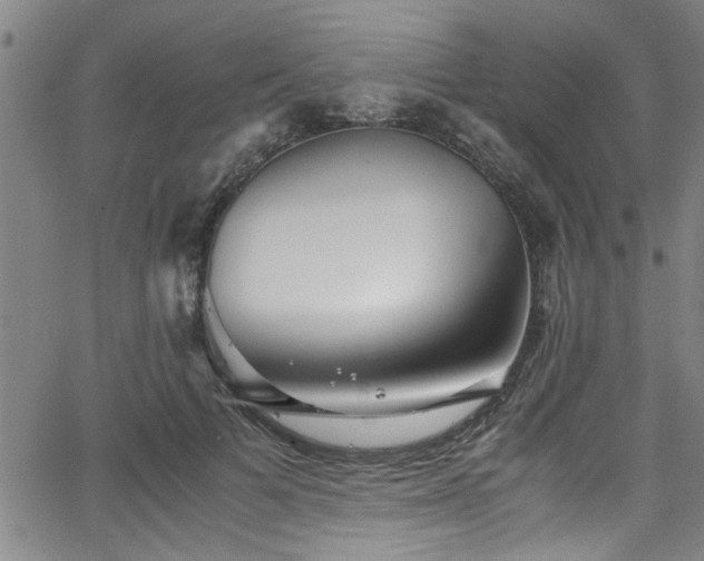 X0000062800697200512261556