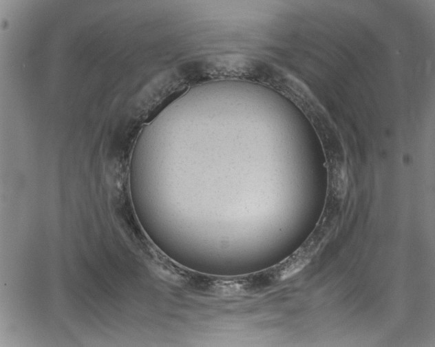 X0000062800701200512261556